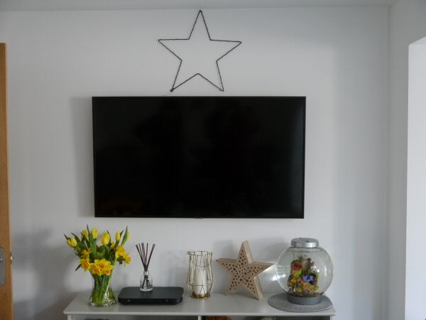 Flat Screen TV Installation